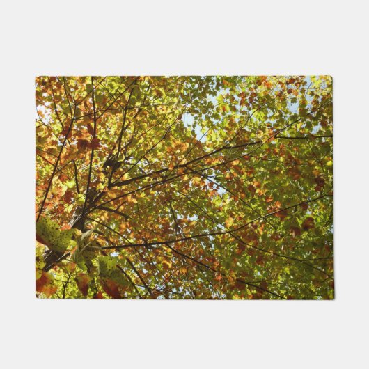 Veranderen Maple Tree Green en Gold Herfst Kleur Deurmat (Voorkant)