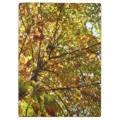Veranderen Maple Tree Green en Gold Herfst Kleur Klembord (Achterkant)