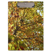 Veranderen Maple Tree Green en Gold Herfst Kleur Klembord (Voorkant)