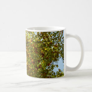 Veranderen Maple Tree Green en Gold Herfst Kleur Koffiemok