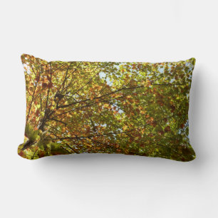 Veranderen Maple Tree Green en Gold Herfst Kleur Kussen