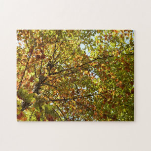 Veranderen Maple Tree Green en Gold Herfst Kleur Legpuzzel