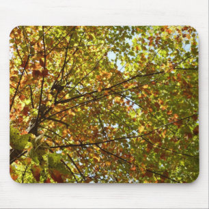 Veranderen Maple Tree Green en Gold Herfst Kleur Muismat