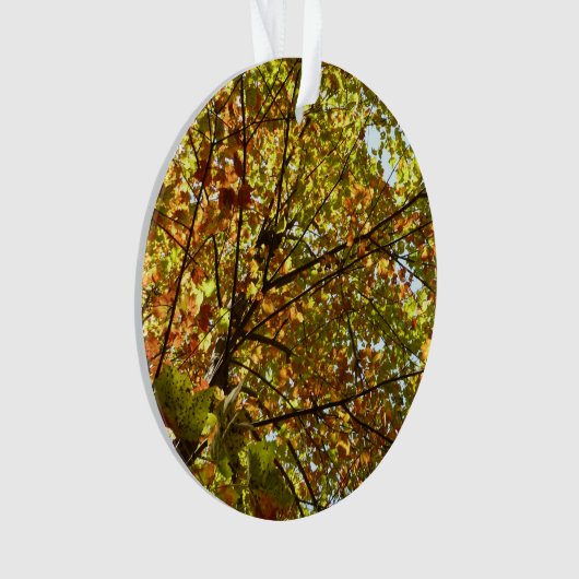 Veranderen Maple Tree Green en Gold Herfst Kleur Ornament (voorkant)