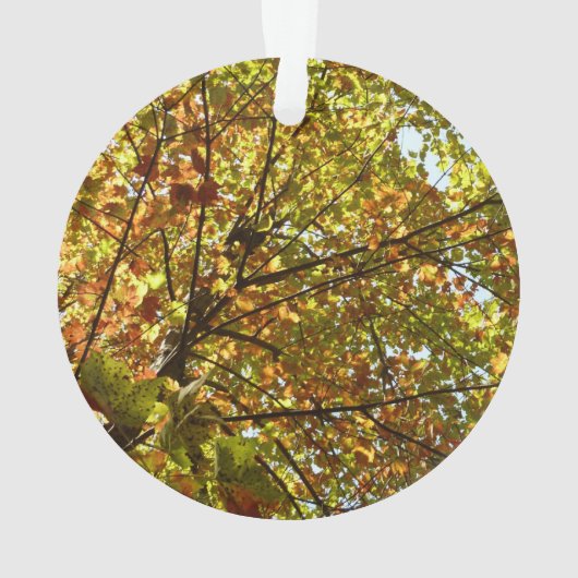 Veranderen Maple Tree Green en Gold Herfst Kleur Ornament (achterkant)