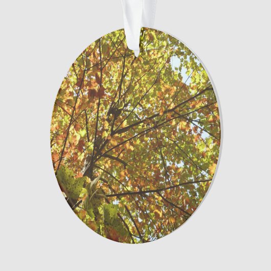 Veranderen Maple Tree Green en Gold Herfst Kleur Ornament (voorkant)