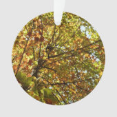Veranderen Maple Tree Green en Gold Herfst Kleur Ornament (voorkant)