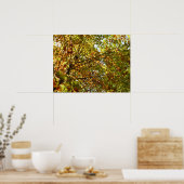 Veranderen Maple Tree Green en Gold Herfst Kleur Poster (Keuken)