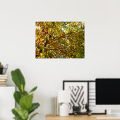 Veranderen Maple Tree Green en Gold Herfst Kleur Poster (Thuiskantoor)