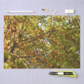 Veranderen Maple Tree Green en Gold Herfst Kleur Tissuepapier (Craft)