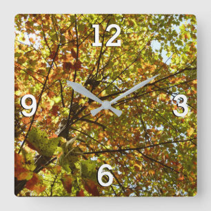 Veranderen Maple Tree Green en Gold Herfst Kleur Vierkante Klok