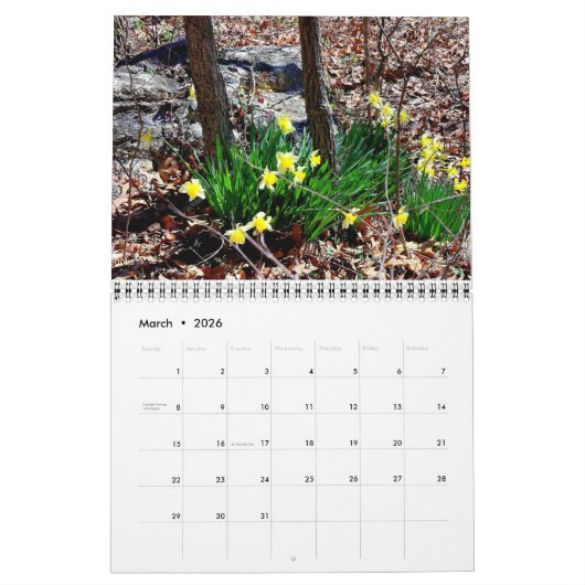 Veranderende seizoenen Fotografie Kalender (Mar 2026)
