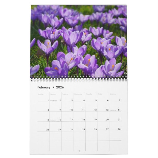Veranderende seizoenen Fotografie Kalender (Feb 2026)