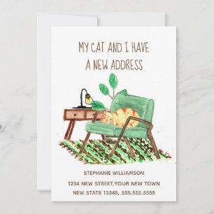 Verandering adres Ginger Cat Verschuiving Aankondi