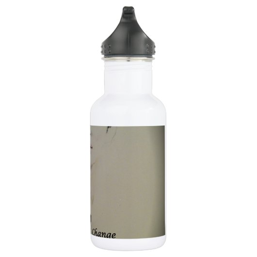 Verandering is geen Spectator Sport Art Print Waterfles (Rechts)