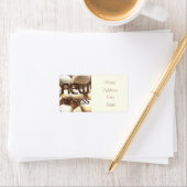 Verandering van Adresetiketten Zeeschelpen Funny B Etiket (Insitu)