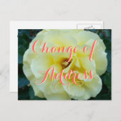 Verandering van adresfoto van briefkaart met roos  (Voorkant / Achterkant)