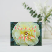 Verandering van adresfoto van briefkaart met roos  (Staand voorkant)