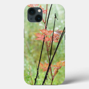 Verandering van de seizoenen, terugval in groen ve Case-Mate iPhone case