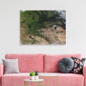 Verandering van de vegetatie canvas afdruk (Insitu (Woonkamer))