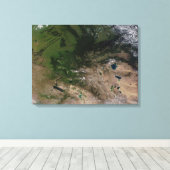 Verandering van de vegetatie canvas afdruk (Insitu (Houten vloer))