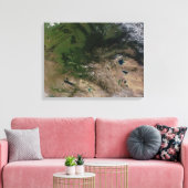 Verandering van de vegetatie canvas afdruk (Insitu (Woonkamer))