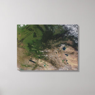 Verandering van de vegetatie canvas afdruk