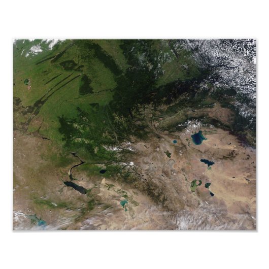 Verandering van de vegetatie foto afdruk (Voorkant)