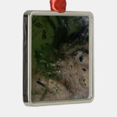 Verandering van de vegetatie metalen ornament (Rechts)