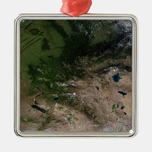 Verandering van de vegetatie metalen ornament (Voorkant)