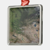 Verandering van de vegetatie metalen ornament (Links)