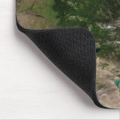 Verandering van de vegetatie muismat (Hoek)