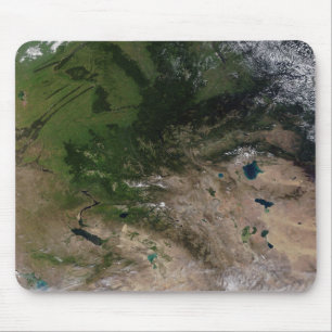 Verandering van de vegetatie muismat