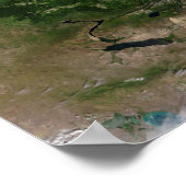 Verandering van de vegetatie poster (Hoek)