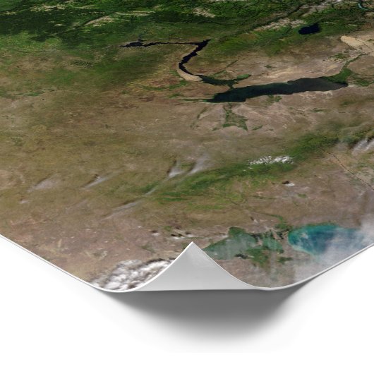 Verandering van de vegetatie poster (Hoek)