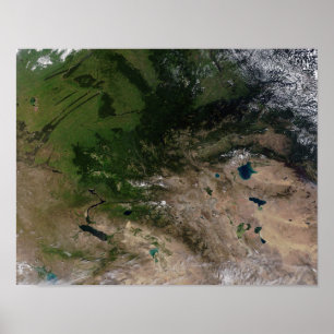 Verandering van de vegetatie poster