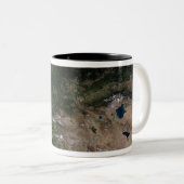 Verandering van de vegetatie tweekleurige koffiemok (Voorkant rechts)