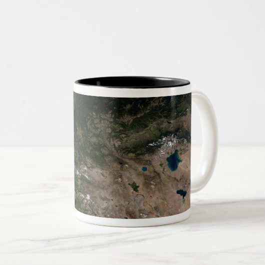 Verandering van de vegetatie tweekleurige koffiemok (Voorkant rechts)