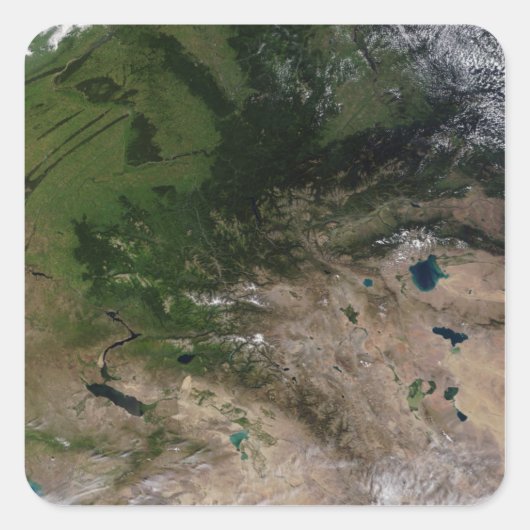 Verandering van de vegetatie vierkante sticker (Voorkant)