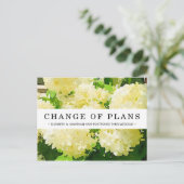 Verandering van Plannen Wit Annabelle Hydrangea Br Briefkaart (Staand voorkant)