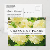 Verandering van Plannen Wit Annabelle Hydrangea Br Briefkaart (Voorkant / Achterkant)