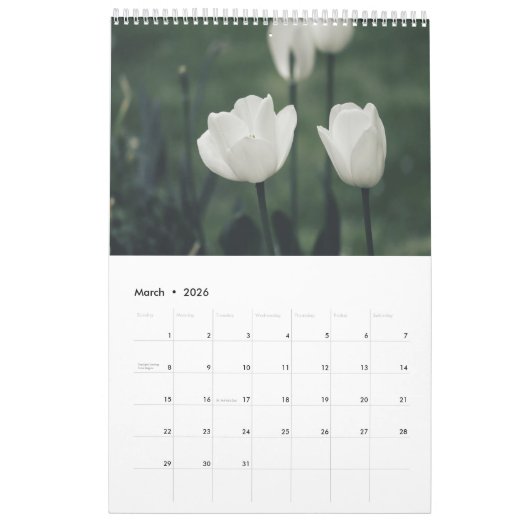 Veranderingen in het leven vereisen aanpassingsvaa kalender (Mar 2026)