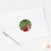 Veranderlijke Merry Christmas Text Gifts Sjabloon Ronde Sticker (Envelop)