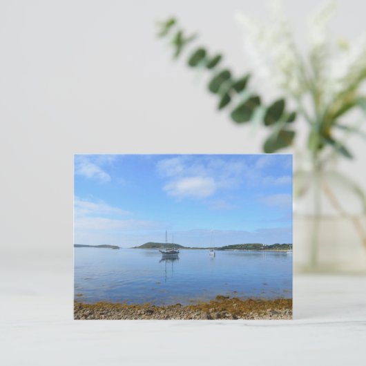 Verankering in de schedel briefkaart (Staand voorkant)