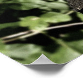 Verarmd: Dag 419 Poster van de Teaser (Hoek)