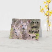 VERBAASD? DAT ZIJN WE! U BENT ***40*** KAART (Gele Bloem)