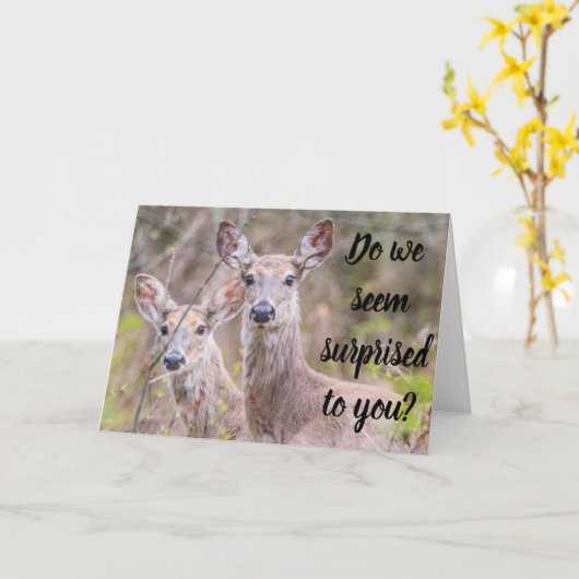 VERBAASD? DAT ZIJN WE! U BENT ***40*** KAART (Gele Bloem)