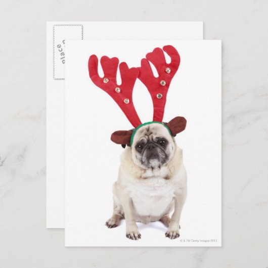 Verbaasd uitziende steker met Reindester Antlers Briefkaart (Voorkant / Achterkant)