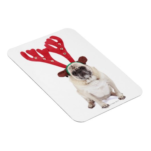 Verbaasd uitziende steker met Reindester Antlers Magneet (Rechterzijde)