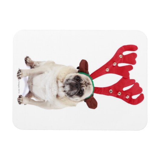 Verbaasd uitziende steker met Reindester Antlers Magneet (Horizontaal)